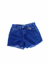 Load image into Gallery viewer, tommy hilfiger shorts (30&quot;)
